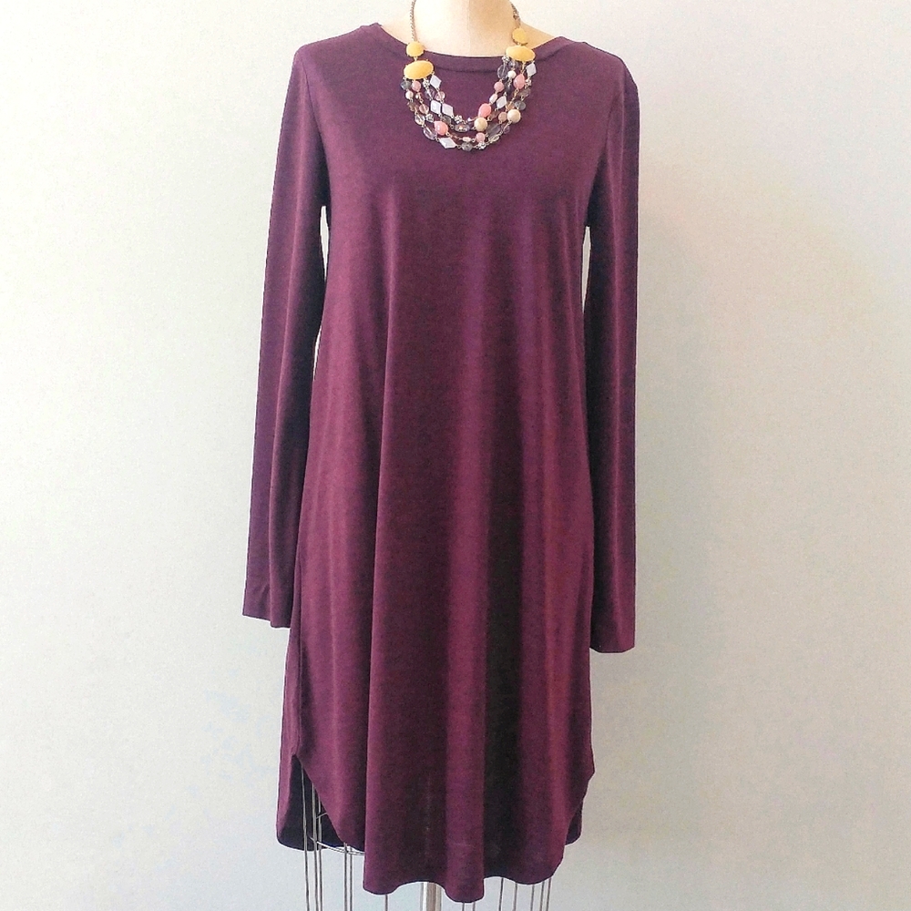 NWT Tunic Dress